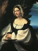 CORNELISZ VAN OOSTSANEN, Jacob Portrait of a Gentlewoman df painting